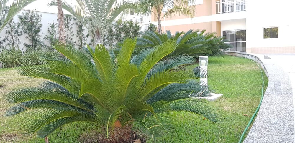 Apartamento, 2 quartos, 63 m² - Foto 10