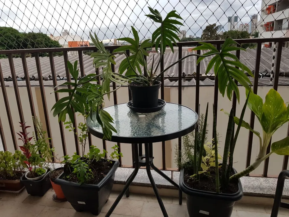 Apartamento, 3 quartos, 115 m² - Foto 7