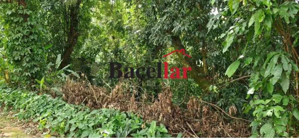 Terreno, 460 m² - Foto 6