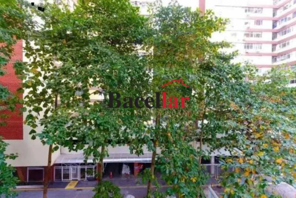 Apartamento, 3 quartos, 90 m² - Foto 6