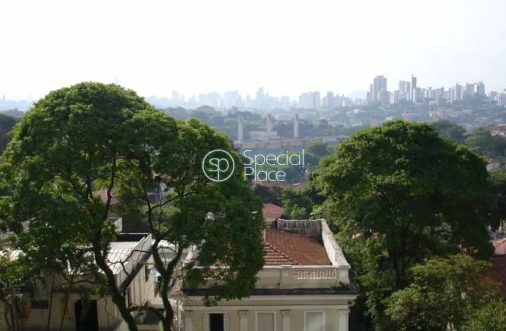 Apartamento, 4 quartos, 260 m² - Foto 3