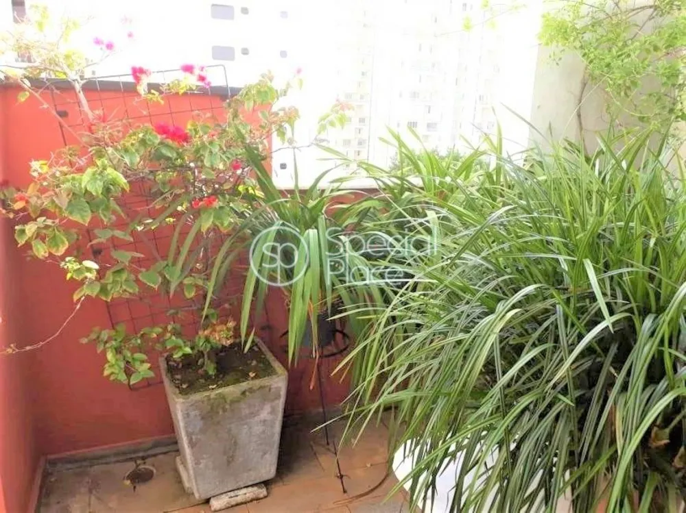 Apartamento, 3 quartos, 230 m² - Foto 2