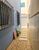 Sobrado, 3 quartos, 105 m² - Foto 24