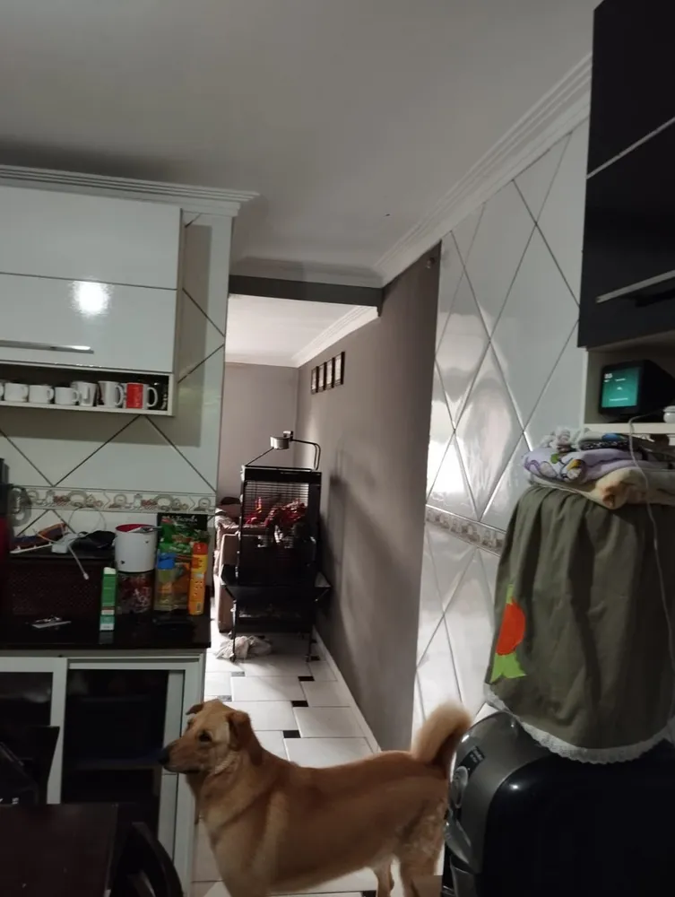 Casa, 3 quartos, 241 m² - Foto 7