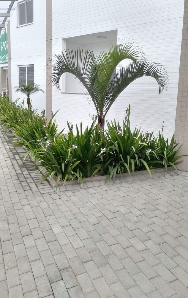 Apartamento à venda com 2 quartos, 70m² - Foto 4