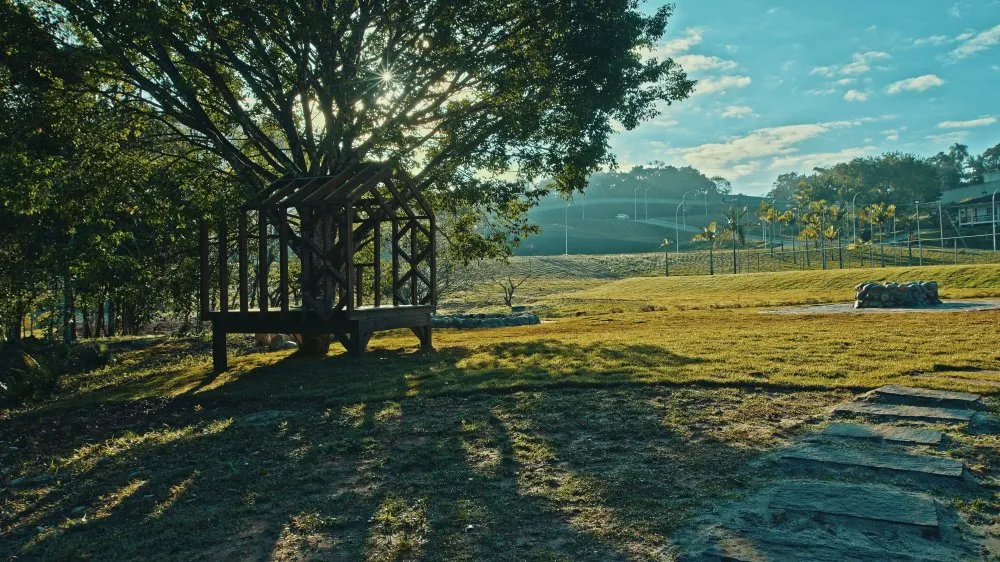 Terreno, 9 hectares - Foto 8