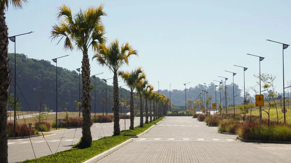 Terreno, 90 hectares - Foto 14