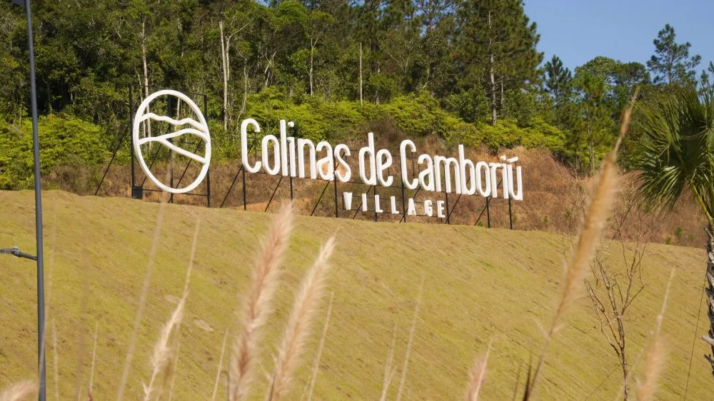 Terreno, 90 hectares - Foto 12