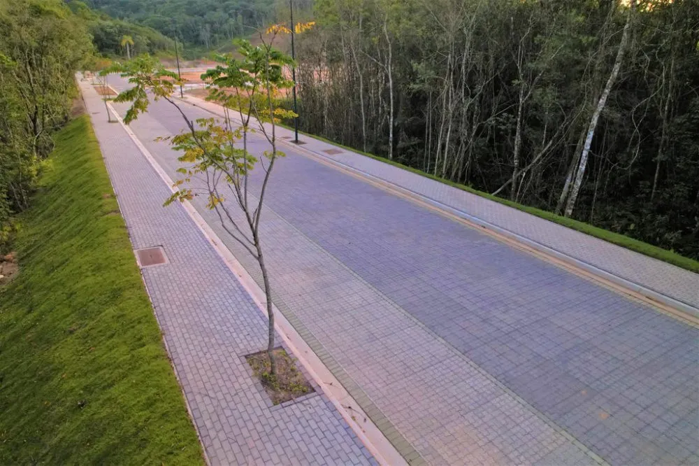 Terreno, 90 hectares - Foto 9