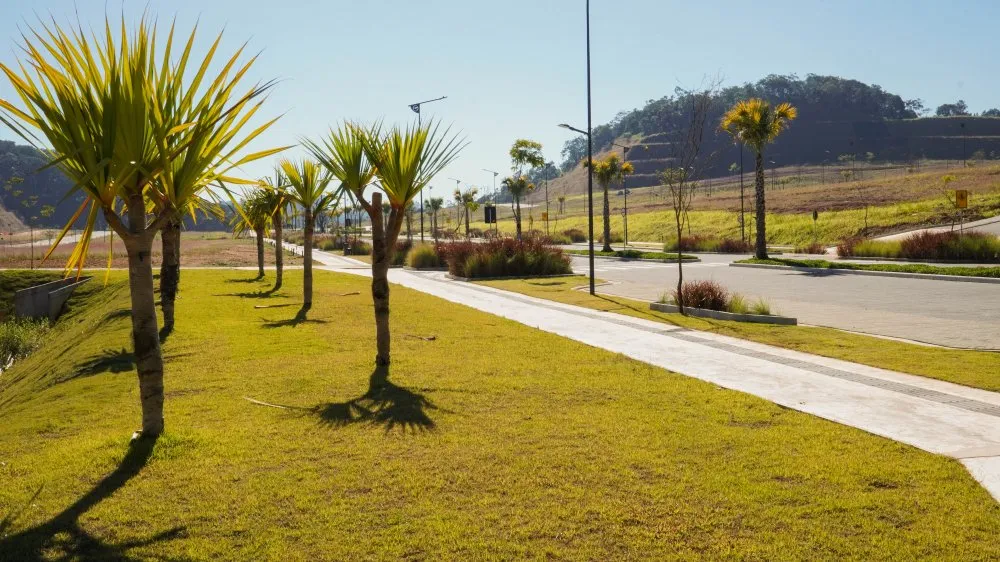 Terreno, 90 hectares - Foto 16