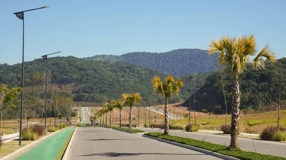 Terreno, 90 hectares - Foto 13