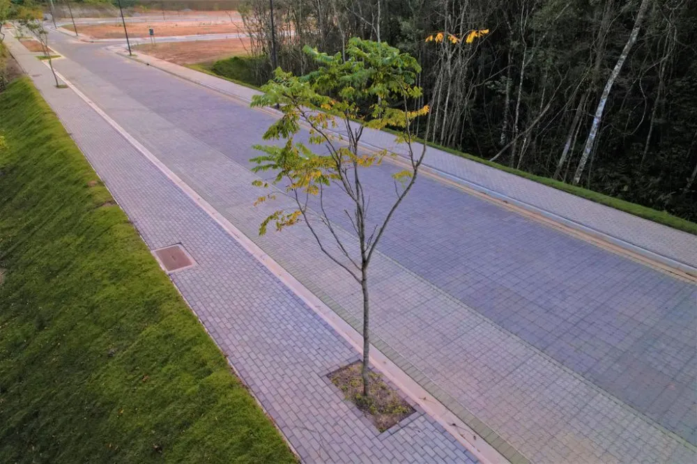 Terreno, 90 hectares - Foto 2