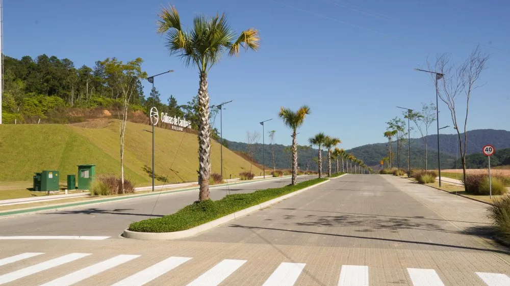 Terreno, 90 hectares - Foto 7