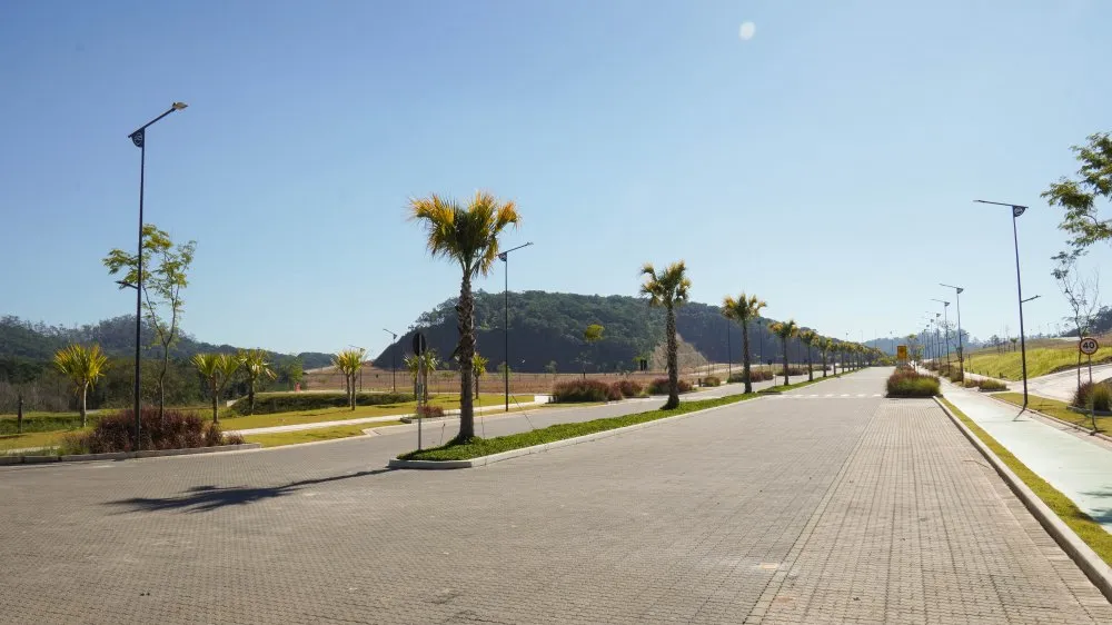 Terreno, 90 hectares - Foto 6