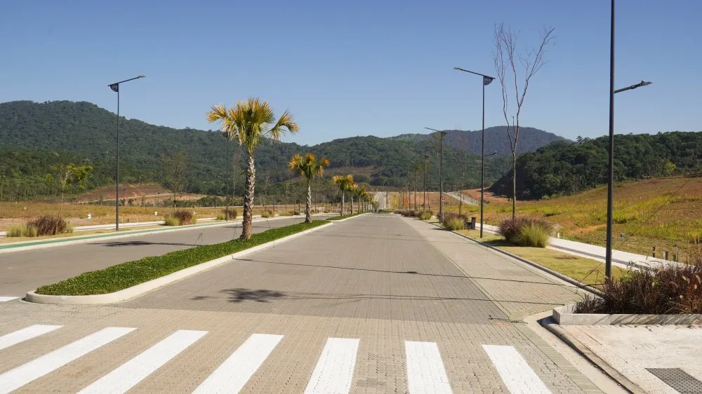 Terreno, 90 hectares - Foto 11