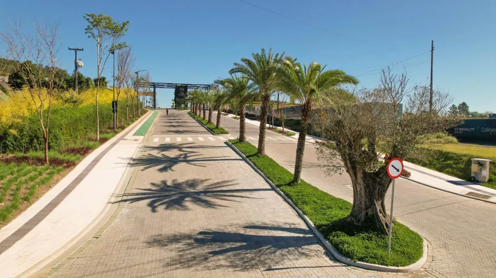 Terreno, 90 hectares - Foto 10
