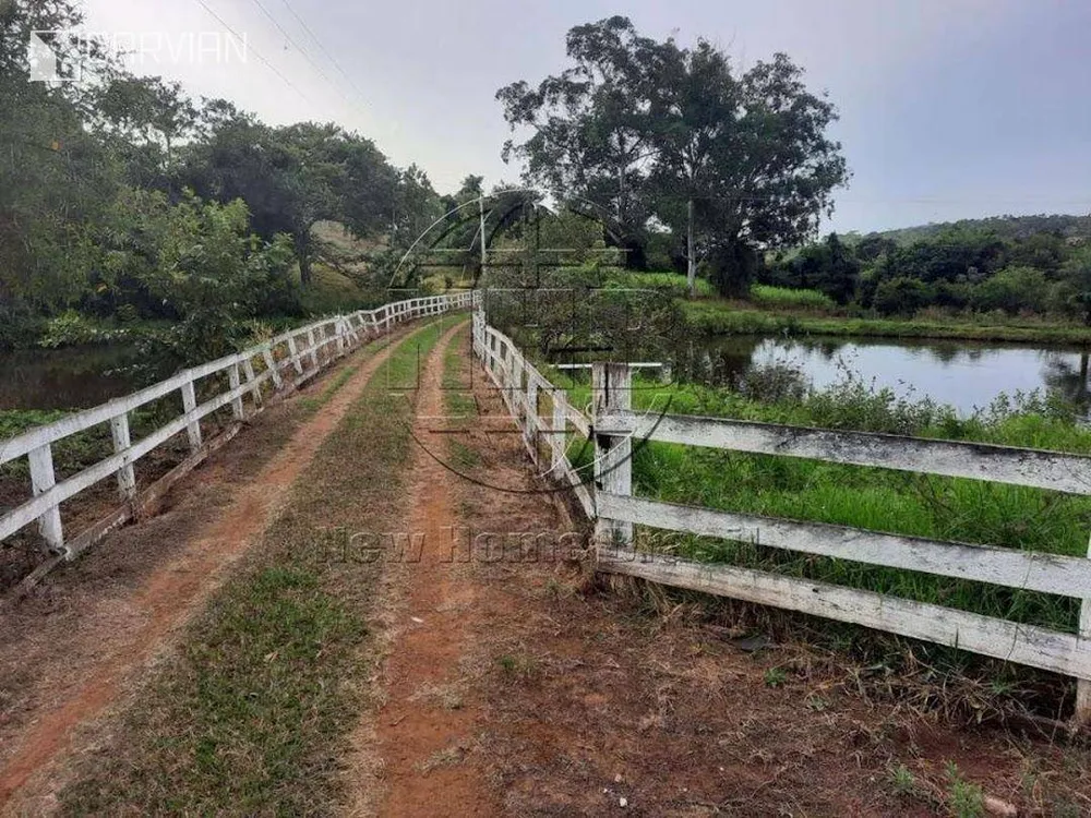 Sítio, 3 quartos, 3 hectares - Foto 6