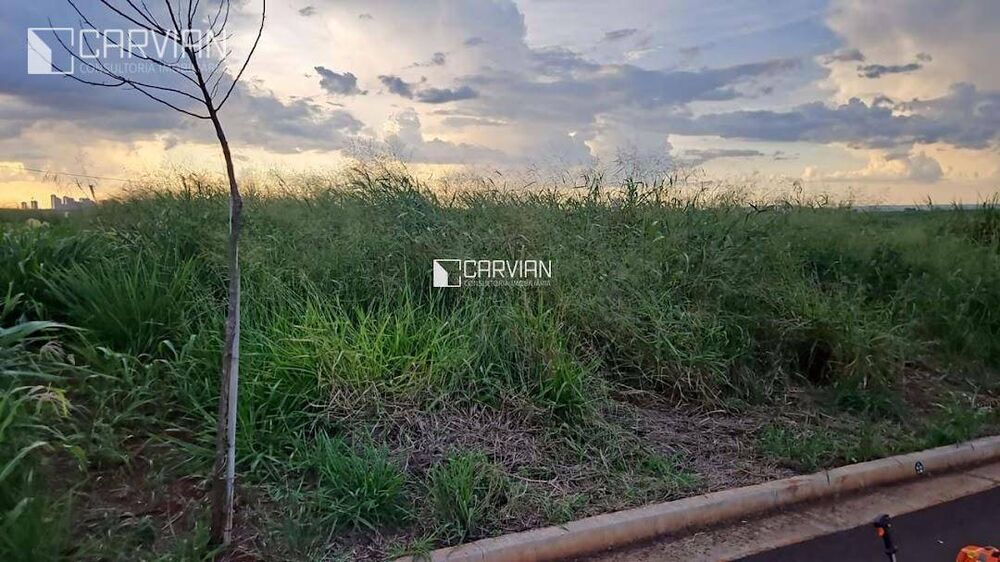 Terreno, 300 m² - Foto 3