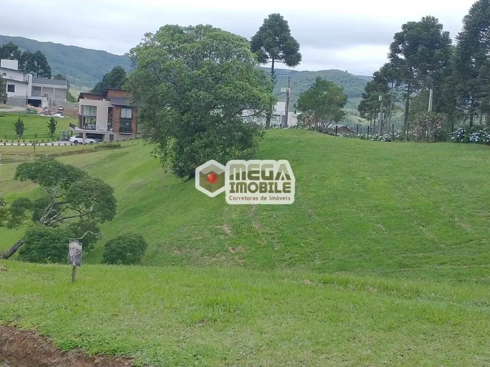 Terreno, 1000 m² - Foto 1