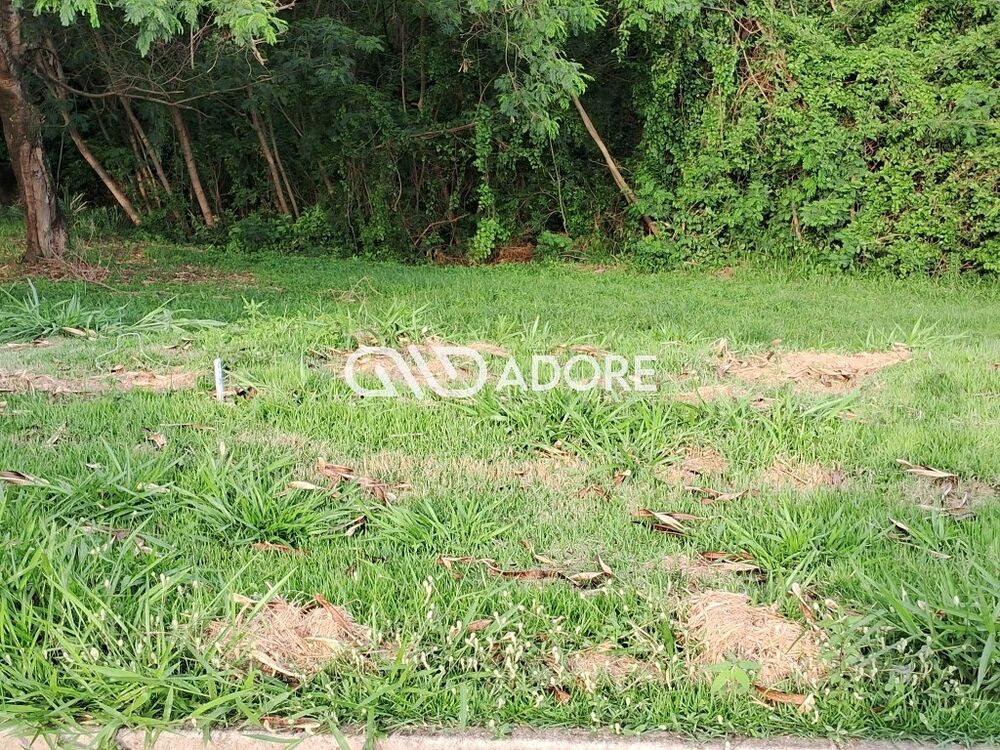 Terreno, 479 m² - Foto 3
