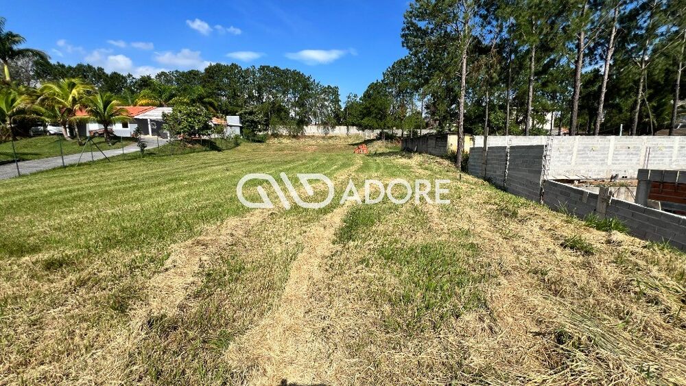 Terreno - Foto 5