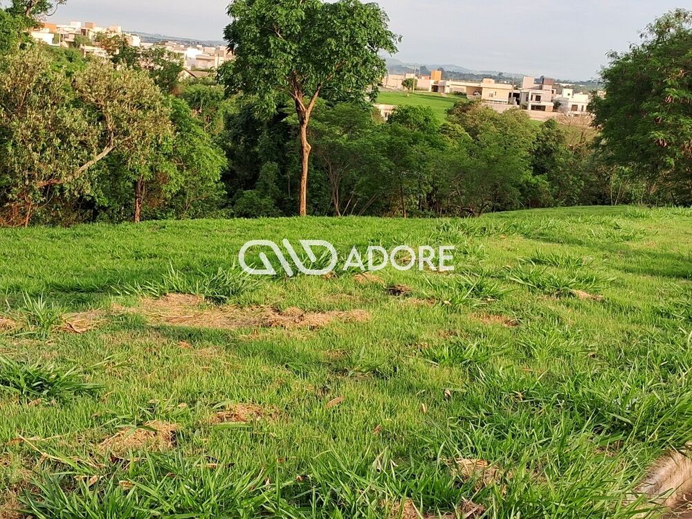 Terreno, 544 m² - Foto 6