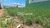 Terreno, 300 m² - Foto 3