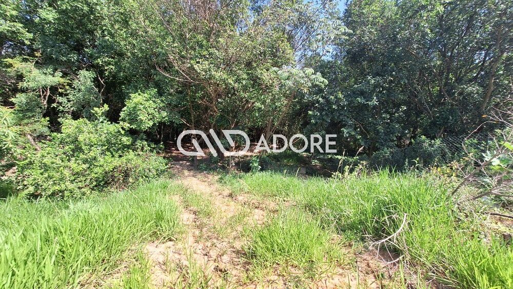 Terreno, 1023 m² - Foto 6