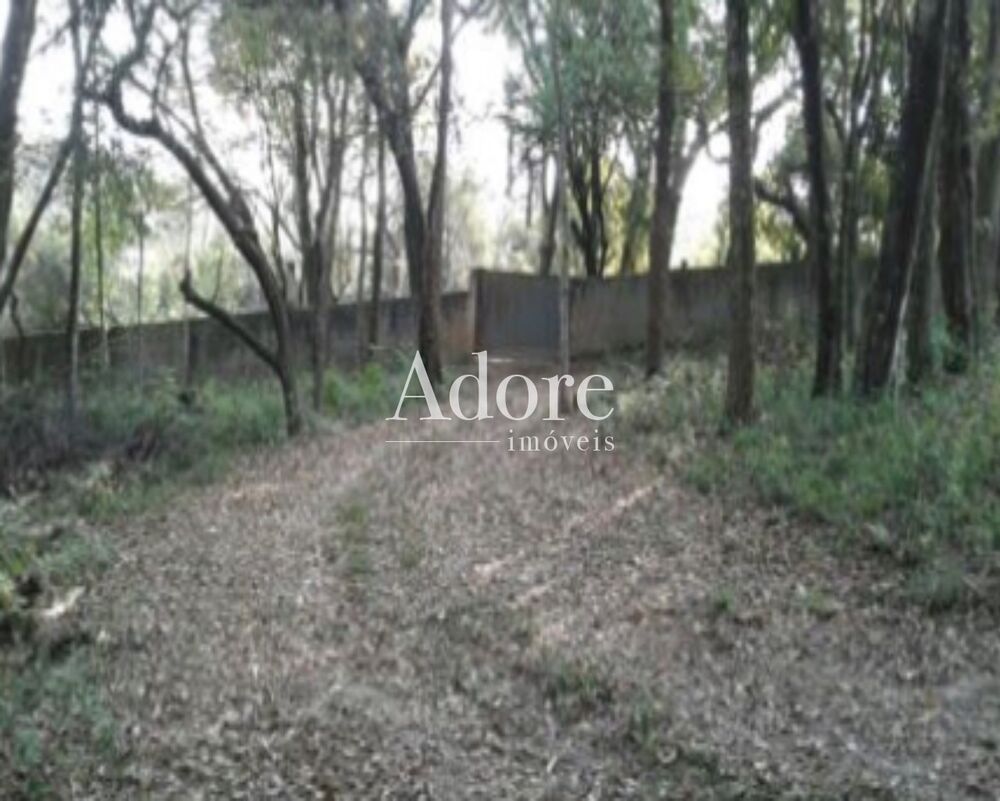 Loteamento e Condomínio, 4 hectares - Foto 1