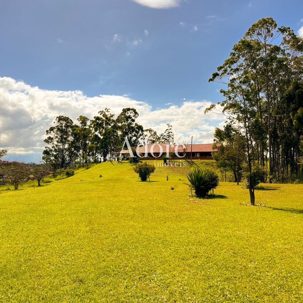 Sítio, 5 quartos, 5500 m² - Foto 1