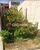 Terreno, 150 m² - Foto 4