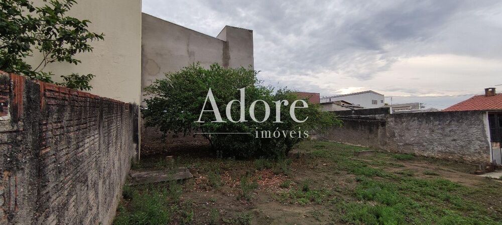 Casa, 3 quartos, 600 m² - Foto 5