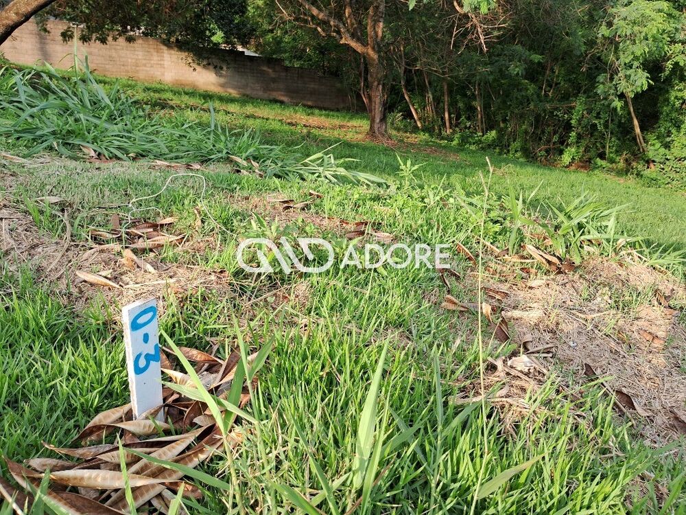 Terreno, 485 m² - Foto 8
