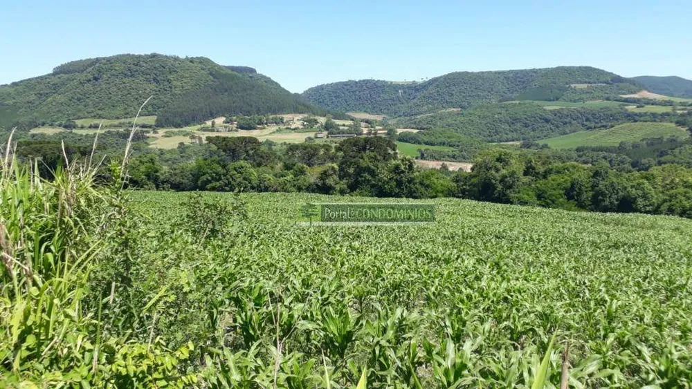 Terreno, 8 hectares - Foto 1
