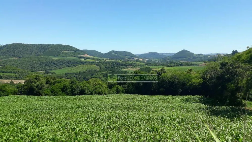 Terreno, 8 hectares - Foto 4