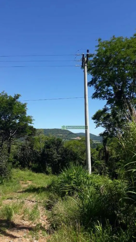 Terreno, 8 hectares - Foto 3