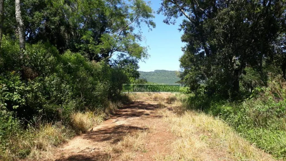 Terreno, 8 hectares - Foto 12