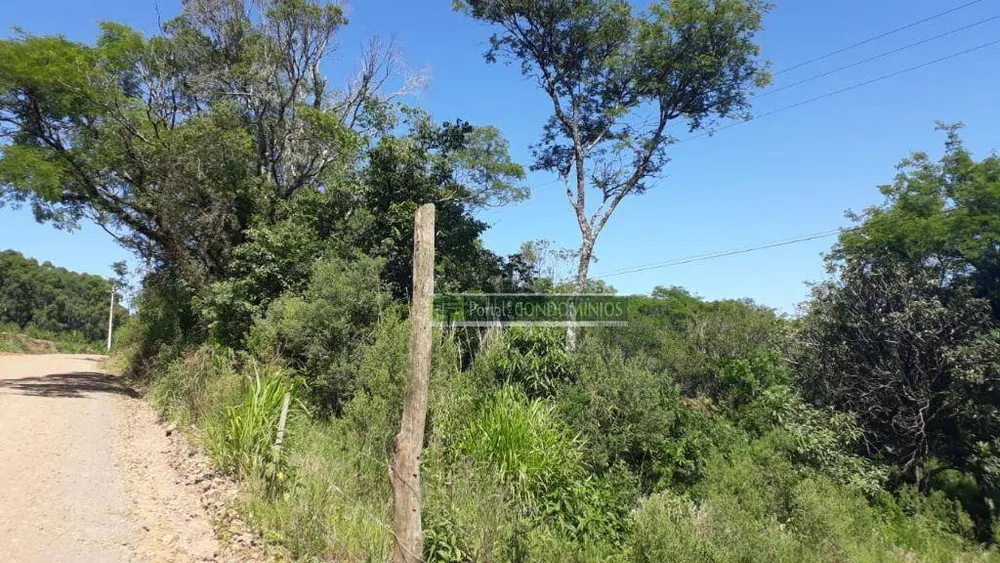Terreno, 8 hectares - Foto 9