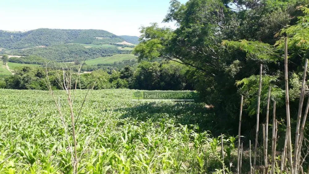 Terreno, 8 hectares - Foto 2