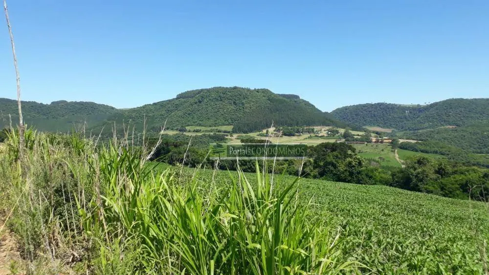 Terreno, 8 hectares - Foto 6