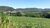 Terreno, 8 hectares - Foto 3