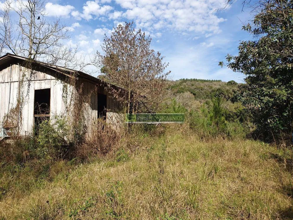 Terreno, 2 hectares - Foto 4