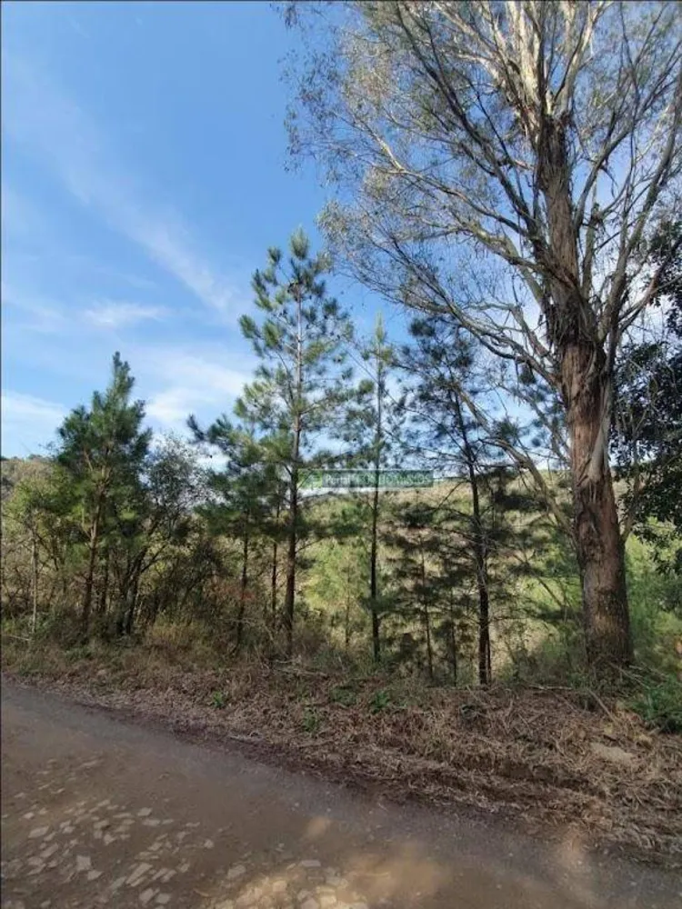 Terreno, 2 hectares - Foto 3