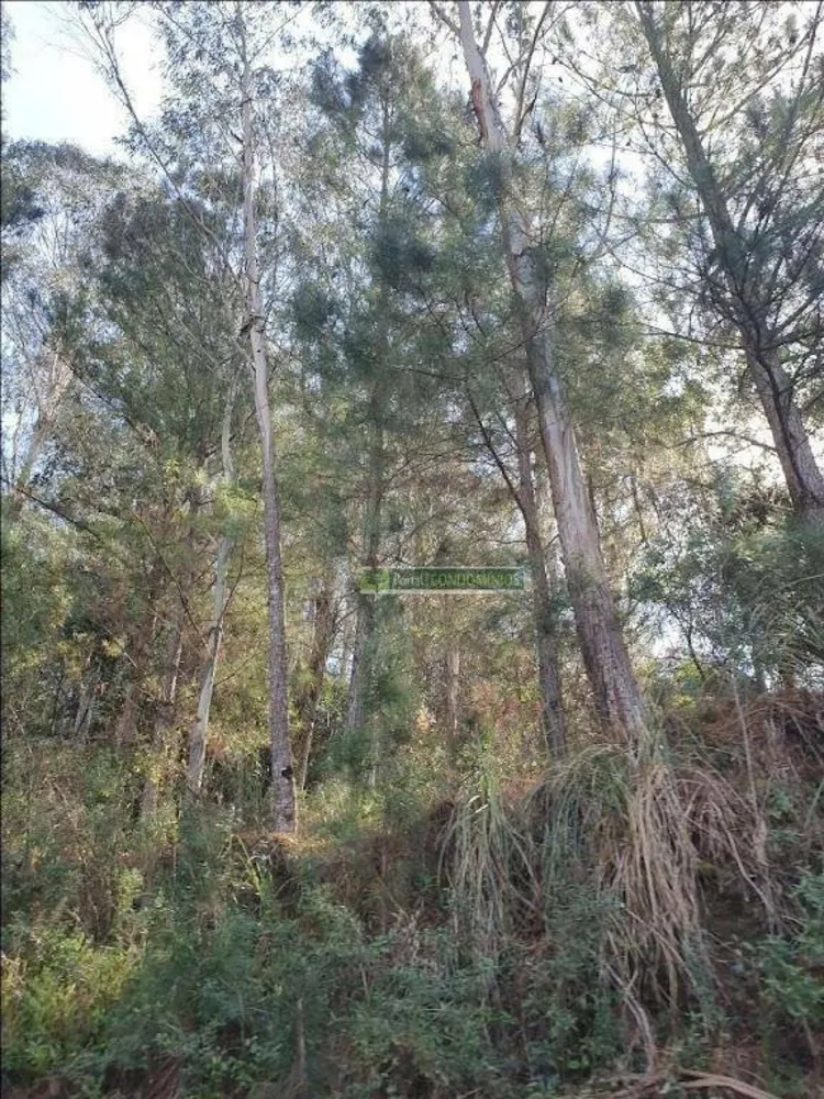 Terreno, 2 hectares - Foto 8