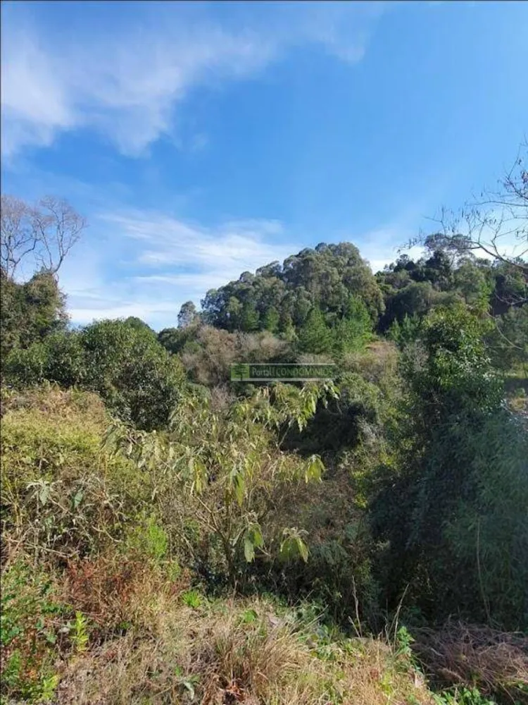 Terreno, 2 hectares - Foto 6