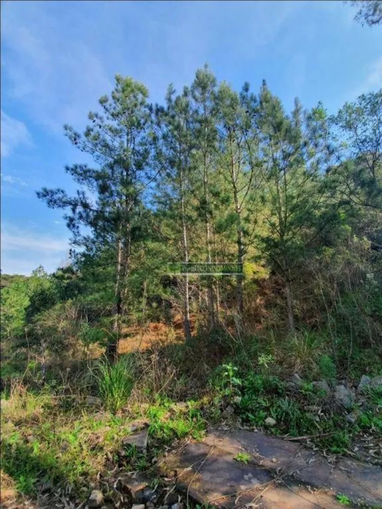 Terreno, 2 hectares - Foto 9