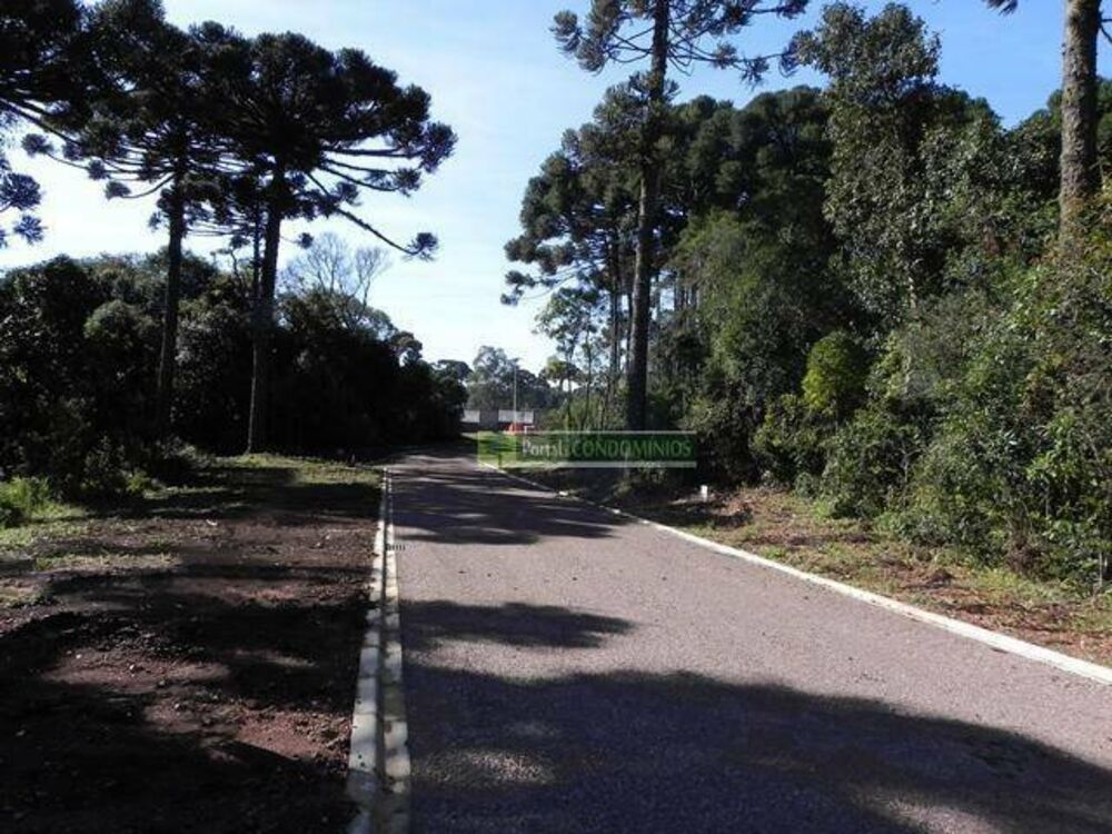 Loteamento e Condomínio, 2712 m² - Foto 3