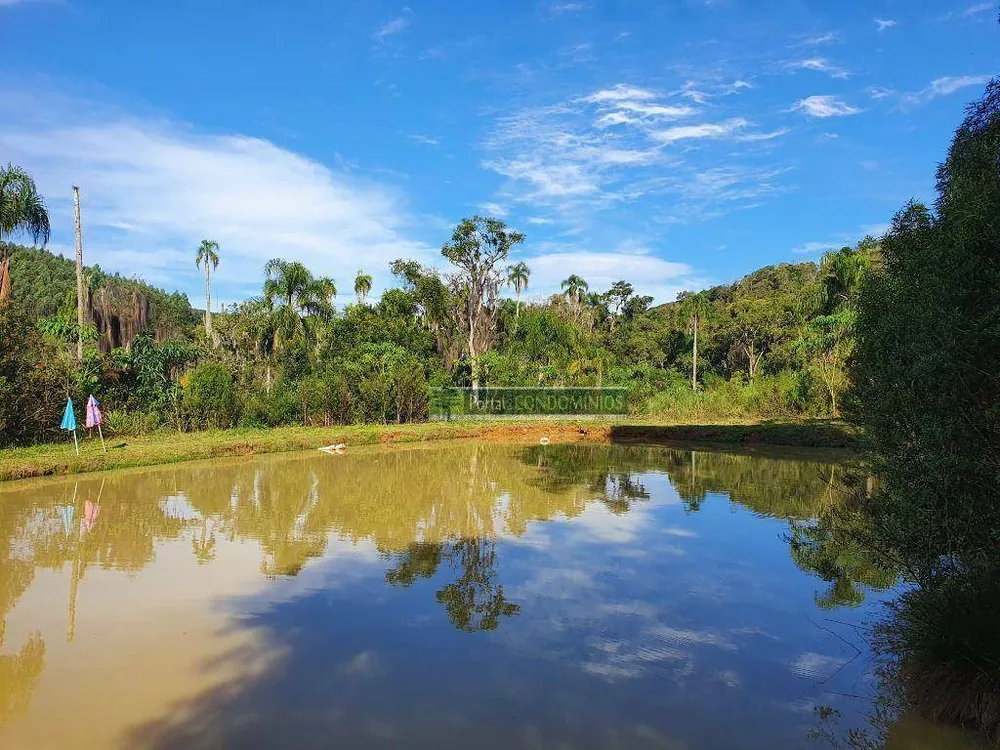 Chácara, 5 quartos, 6 hectares - Foto 11
