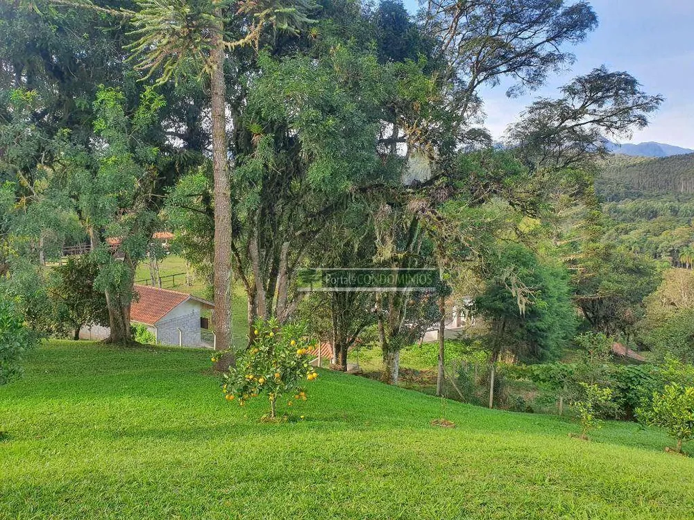 Chácara, 5 quartos, 6 hectares - Foto 15