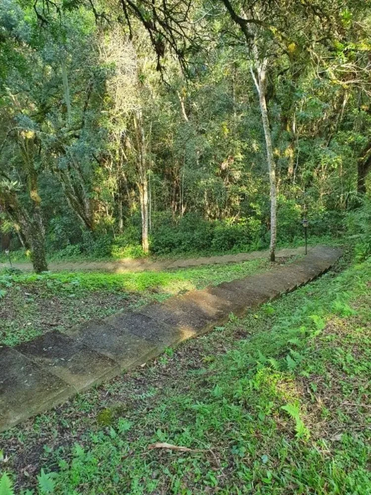 Chácara, 5 quartos, 6 hectares - Foto 13